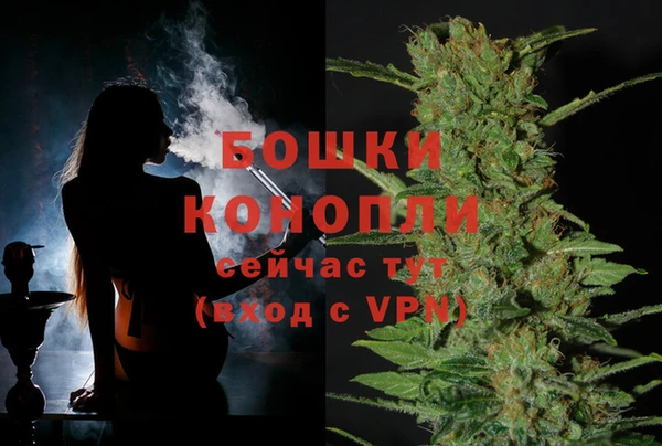 мдпв Козельск