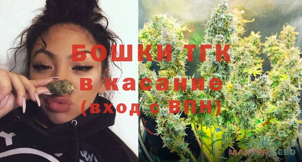 мдпв Козельск