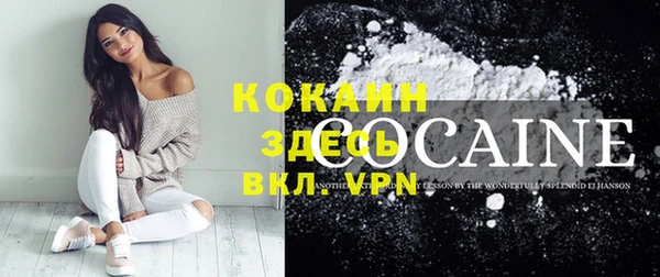 мдпв Козельск
